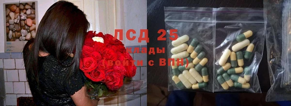 ALPHA PVP Богородицк
