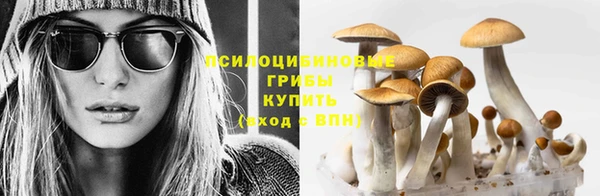 не бодяженный Бронницы