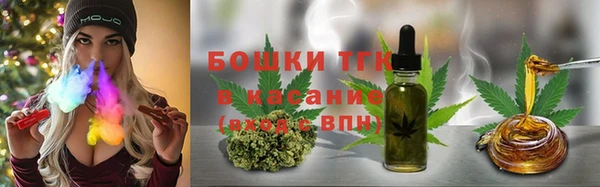 индика Богданович