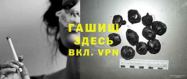 индика Богданович
