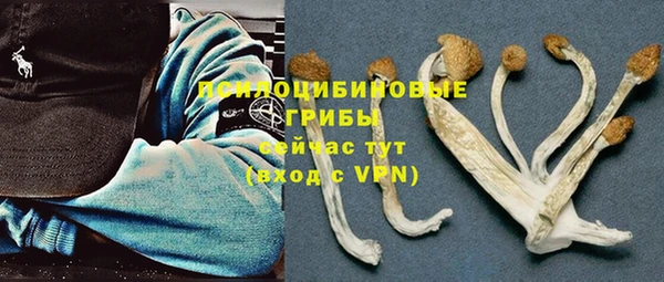 бошки Бугульма