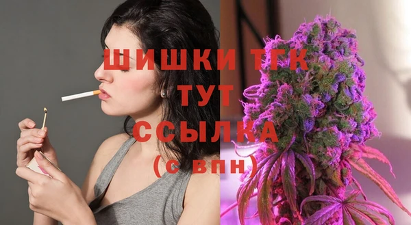 индика Богданович