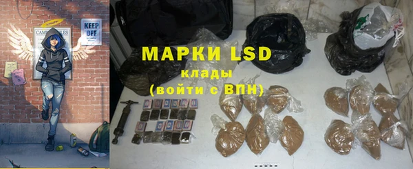 индика Богданович