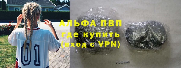 индика Богданович