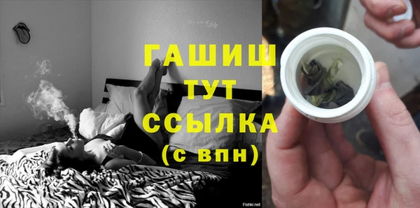 индика Богданович