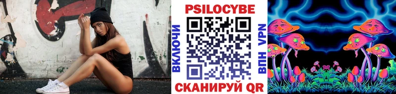 как найти наркотики  Дальнегорск  Псилоцибиновые грибы мухоморы 